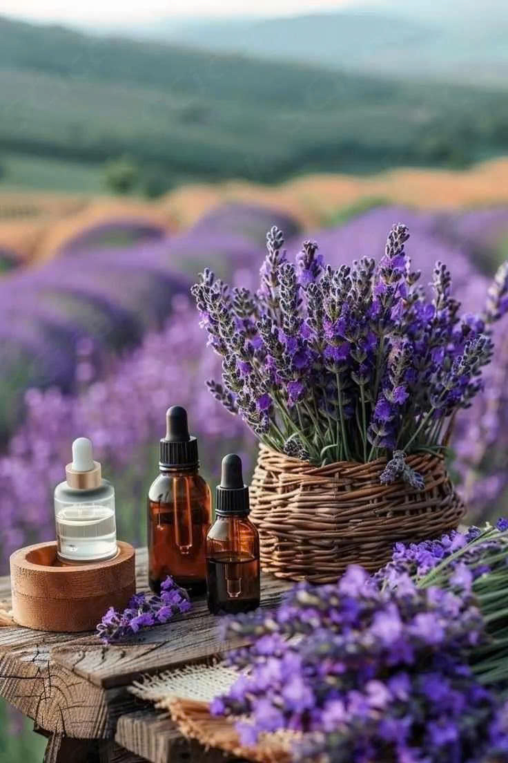 Tinh dầu lavender nguyên chất