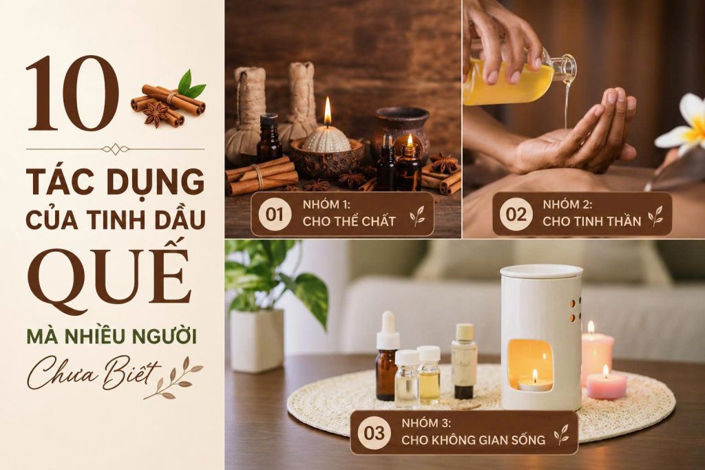 Tinh dầu quế