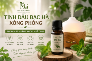 tinh dầu bạc hà xông phòng